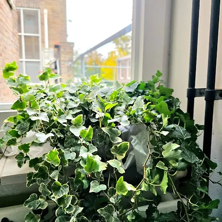 Homely 2bedroom In The Center Of