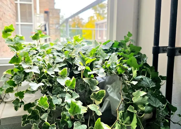 Homely 2bedroom In The Center Of