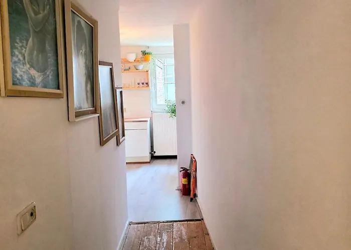 Homely 2bedroom In The Center Of * Eindhoven