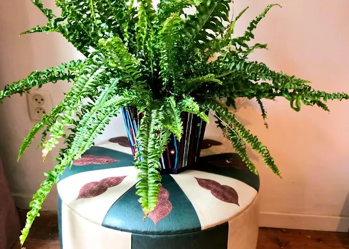 Homely 2bedroom In The Center Of Appartamento